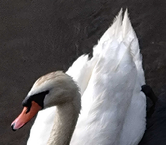 Ļ1_꡼󥷥å 2025-07-07 055114.png