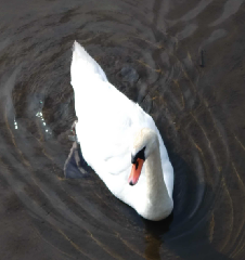Ļ5_꡼󥷥å 2025-07-07 055114.png