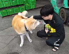 ꡼󥷥å 2025-10-07 121354.png