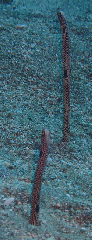 ꡼󥷥å 2025-10-20 201112_1.png