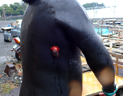 ꡼󥷥å 2025-11-10 201351.png