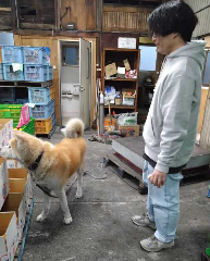 ꡼󥷥å 2025-12-01 033806.png