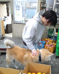 ꡼󥷥å 2025-12-01 033836.png