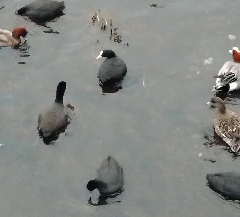 �����꡼�󥷥�å� 2025-12-22 194046.png