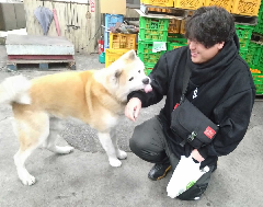 �����꡼�󥷥�å� 2025-12-22 223112.png