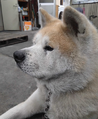 �����꡼�󥷥�å� 2025-12-22 225707.png