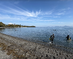 �����꡼�󥷥�å� 2026-02-15 220052_1.png