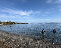 �����꡼�󥷥�å� 2026-02-15 220130.png