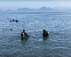 �����꡼�󥷥�å� 2026-02-15 220212.png