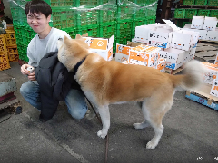 �����꡼�󥷥�å� 2026-02-15 220459.png