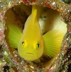 �ߥ���٥˥ϥ��������꡼�󥷥�å� 2026-03-21 095145.jpg