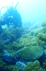 1_����ȵ����Ĥ���_�����꡼�󥷥�å� 2026-02-15 094242.png