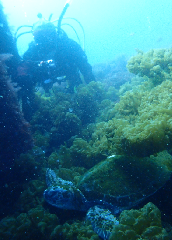 1_����ȵ����Ĥ���_�����꡼�󥷥�å� 2026-02-15 095156.png