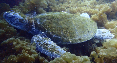 1_����_�����꡼�󥷥�å� 2026-02-15 094941_1.png