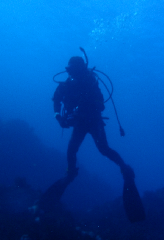 1_������Ȥ������С�_�����꡼�󥷥�å� 2026-01-25 124731.png