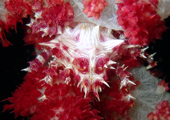 1_ڥȥ_꡼󥷥å 2025-11-10 072204.png