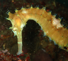 1_Х_꡼󥷥å 2025-11-03 093313.png