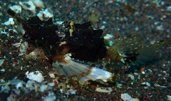 1_���ߥƥ󥰡������꡼�󥷥�å� 2026-01-19 082921_2.png