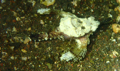 1_���ߥƥ�_�����꡼�󥷥�å� 2025-12-14 053813.png