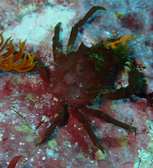 1_����������_�����꡼�󥷥�å� 2026-01-25 124818.png