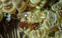 1_ɥꥫ쥨_꡼󥷥å 2025-11-10 072559.png