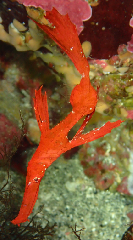 1_���ߥ��ꥦ��_�����꡼�󥷥�å� 2026-01-25 123830.png