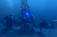 1_���ꥹ�ޥ��ĥ꡼�Ȥդ���_�����꡼�󥷥�å� 2025-12-21 101034_1.png