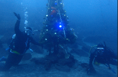 1_���ꥹ�ޥ��ĥ꡼�Ȥդ���_�����꡼�󥷥�å� 2025-12-21 101201.png