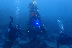 1_���ꥹ�ޥ��ĥ꡼�Ȥդ���_�����꡼�󥷥�å� 2025-12-21 101311.png