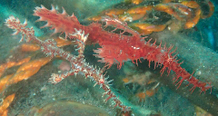 1_꡼󥷥å 2025-11-30 002458.png