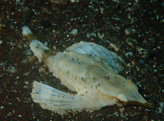 1_꡼󥷥å 2025-11-30 002605.png