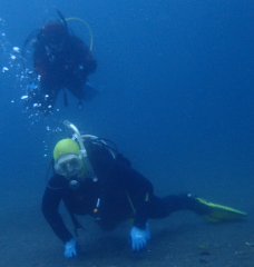 1_꡼󥷥å 2025-11-30 003604.png