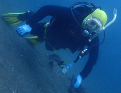 1_꡼󥷥å 2025-11-30 003921.png