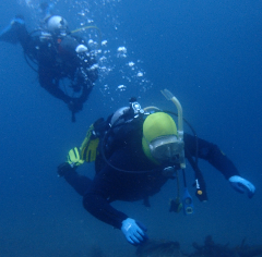 1_꡼󥷥å 2025-11-30 004025.png