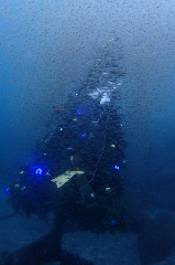 1_꡼󥷥å 2025-11-30 004233.png