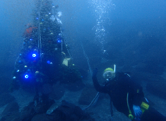 1_꡼󥷥å 2025-11-30 004330.png