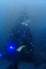 1_꡼󥷥å 2025-11-30 004458.png