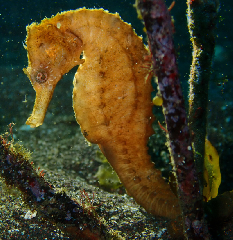 1_����������ġ������꡼�󥷥�å� 2026-01-19 083129_1.png