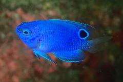 1_ʥ_꡼󥷥å 2025-11-03 093206.png