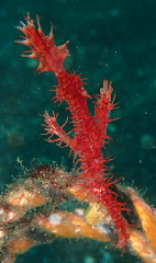 1_˥ե饤_꡼󥷥å 2025-11-03 093030.png