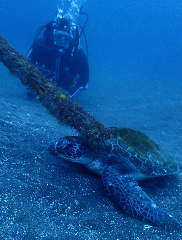 1_�������ݤ���_�����꡼�󥷥�å� 2025-12-21 100653.png