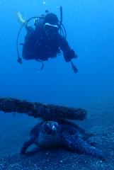 1_���������_�����꡼�󥷥�å� 2025-12-21 100754.png