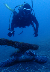 1_���������_�����꡼�󥷥�å� 2025-12-21 100842.png