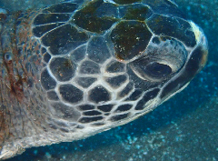 1_��_�����꡼�󥷥�å� 2025-12-21 070318.png