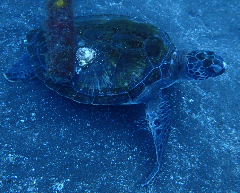 1_��_�����꡼�󥷥�å� 2025-12-21 100448.png