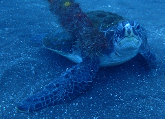 1_��_�����꡼�󥷥�å� 2025-12-21 100931.png