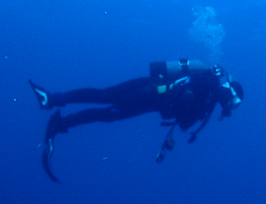 1_��ëq��������С�_�����꡼�󥷥�å� 2026-01-25 124641.png