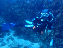 1_���Ĥ�������С�_�����꡼�󥷥�å� 2026-01-25 124514.png