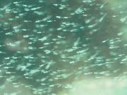 20250525_02յη.jpg