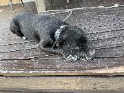 20250525_08ĸ.jpg
